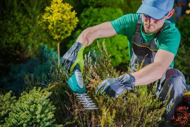 landscaping services Pagedale